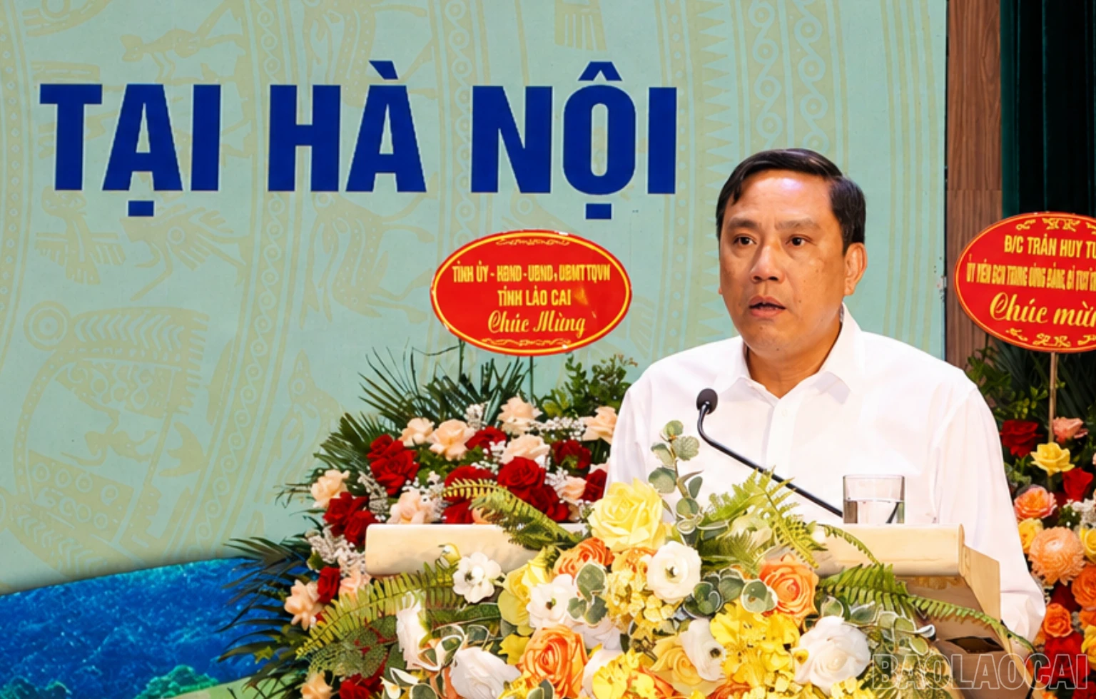 baolaocai-br_br-c846a3b9-92ca-4975-9f02-f8fa968ab112.png