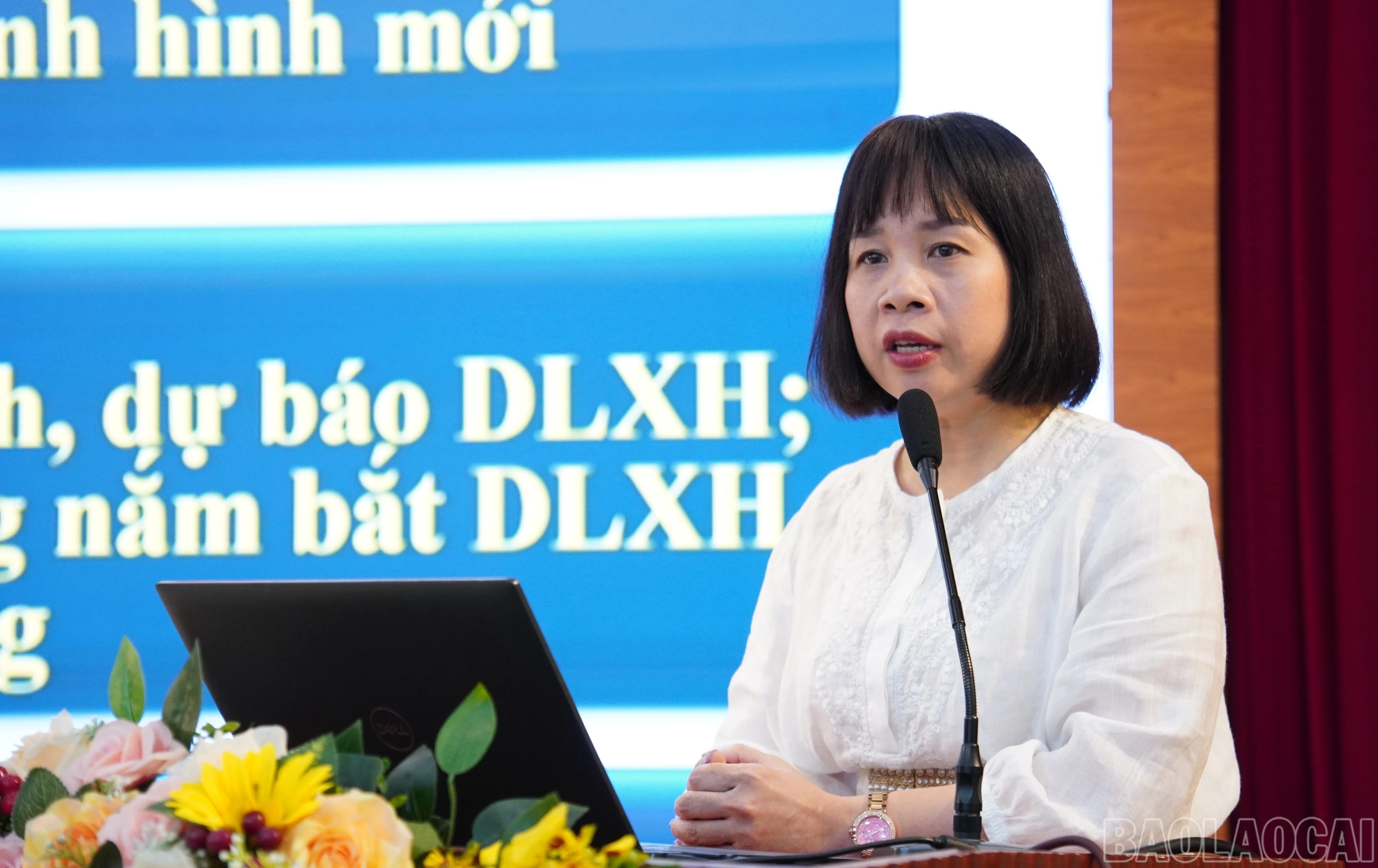 baolaocai-br_fpt01694.jpg