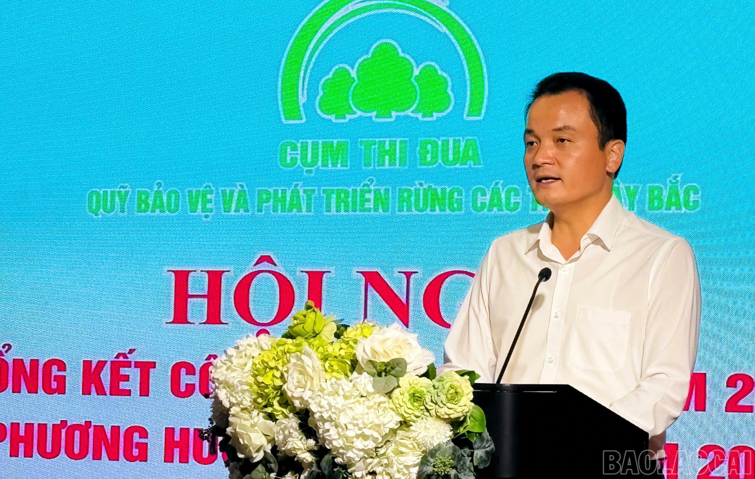 baolaocai-br_hung.jpg