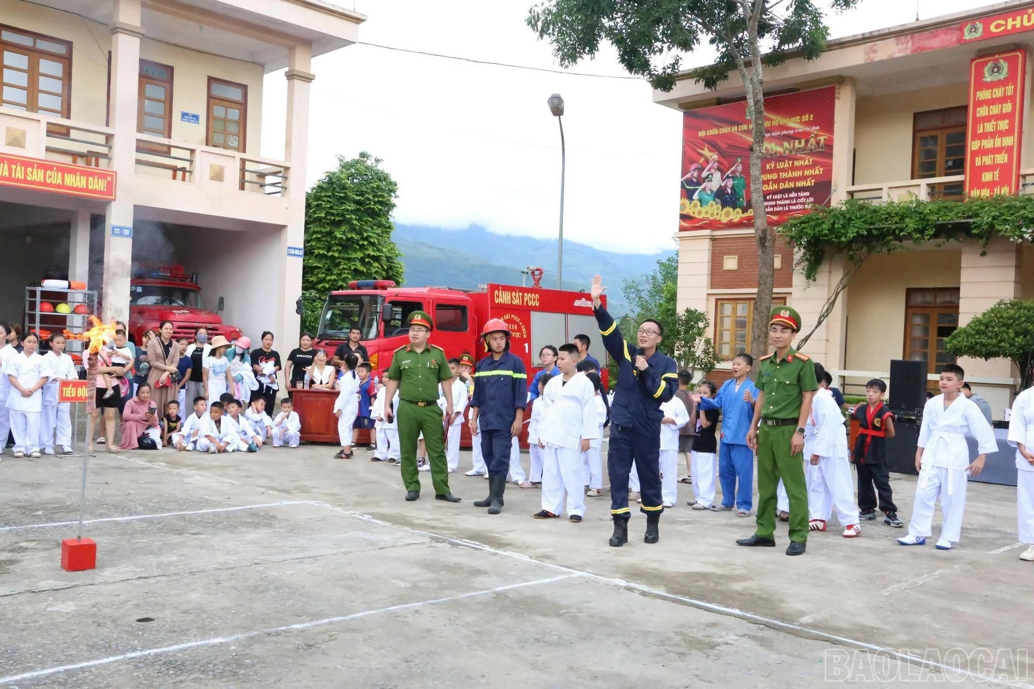 baolaocai-br_hs-2.jpg