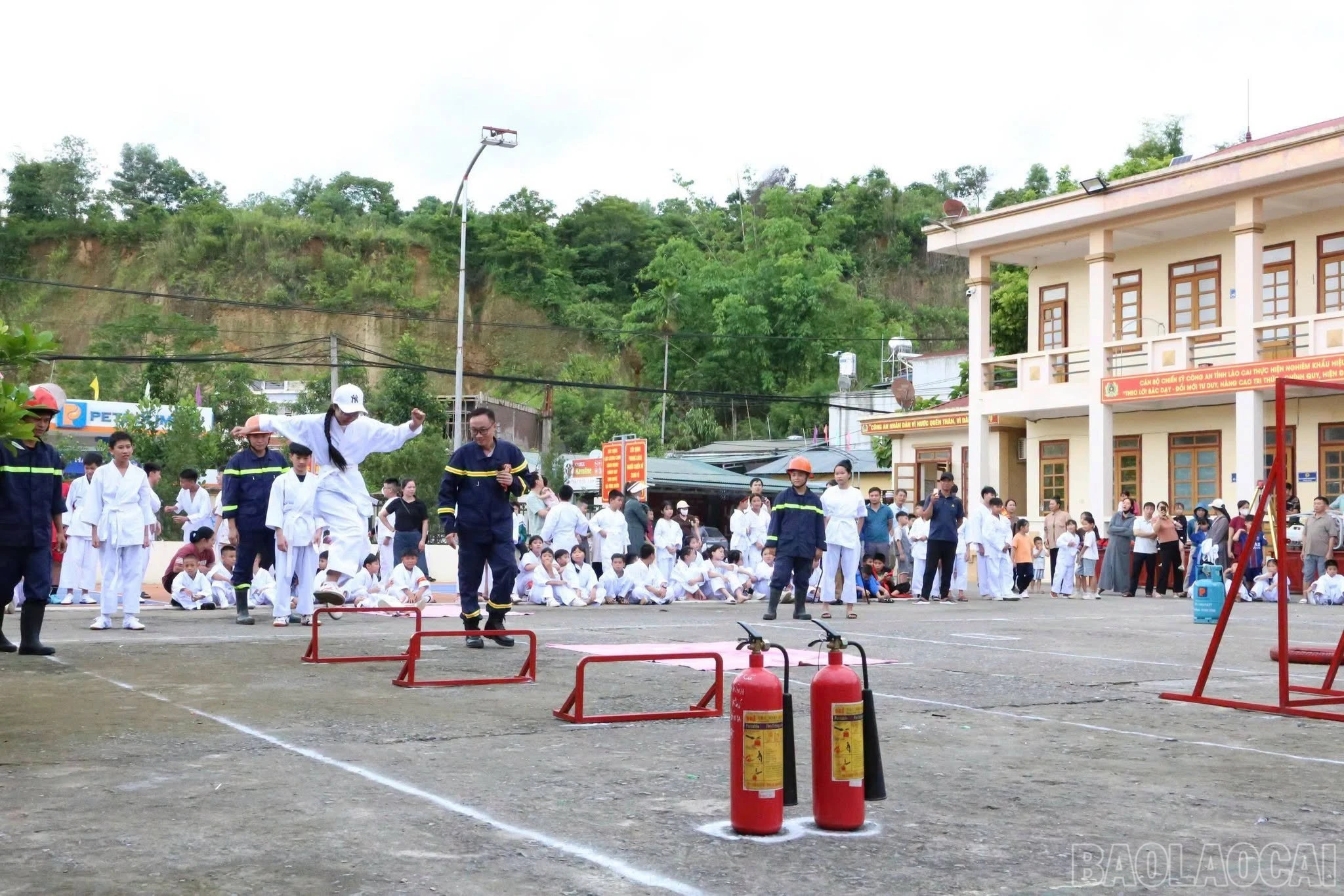 baolaocai-br_hs-1.jpg