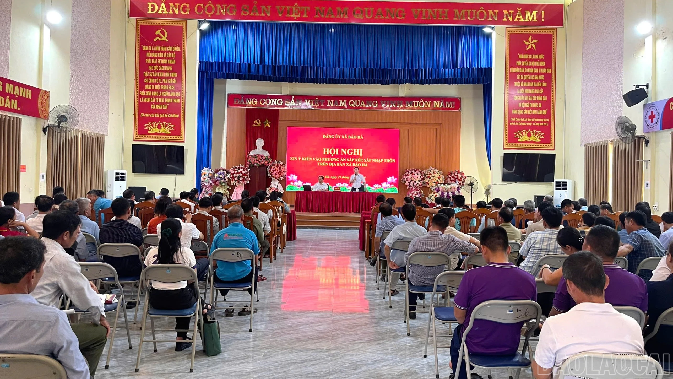 baolaocai-br_bh-6415.jpg