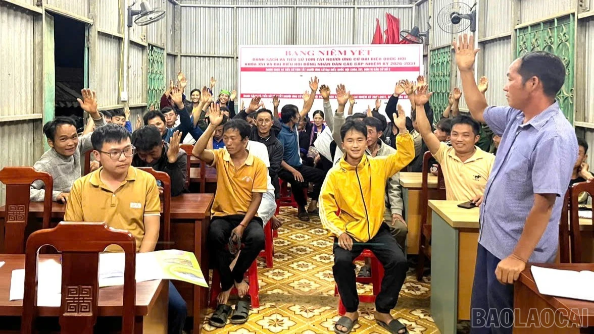 baolaocai-br_nhandanmcc-1-6611.jpg