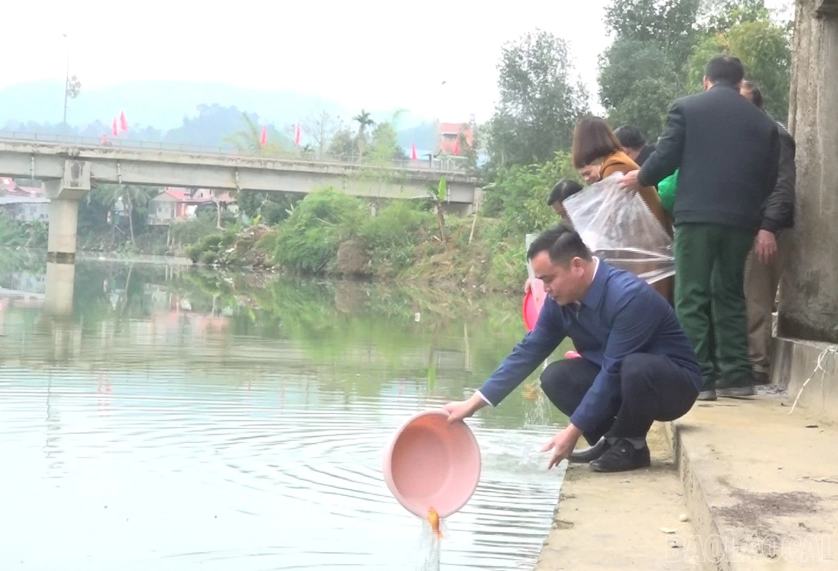 baolaocai-br_anh-3.png