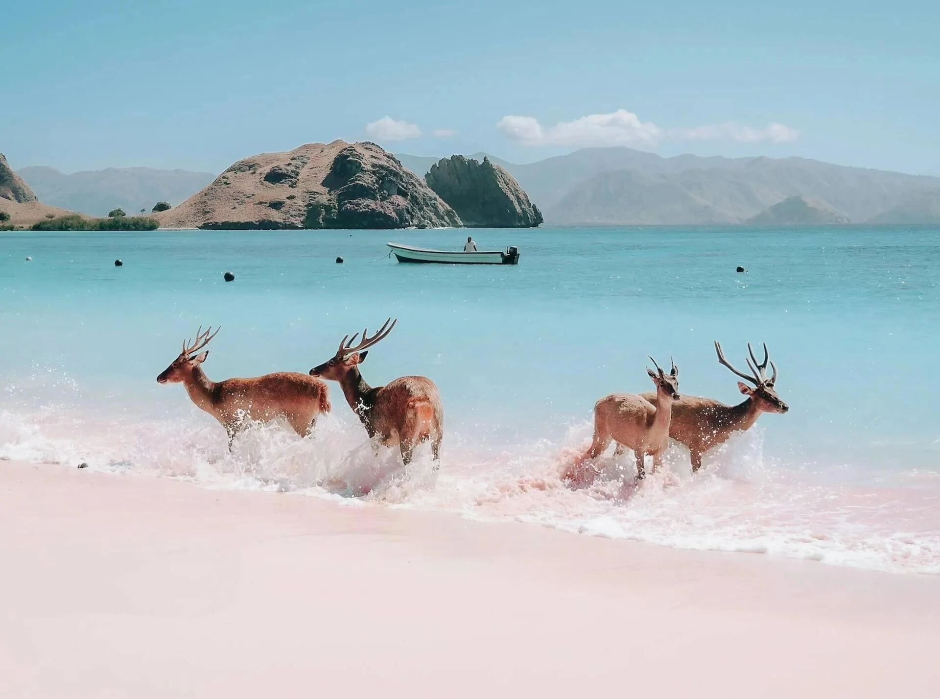 Điểm ngắm cảnh đảo Padar trong Vườn quốc gia Komodo mang đến một trong những khung cảnh độc đáo nhất thế giới - ba vịnh khổng lồ với cát trắng, đen và hồng trong cùng một khung hình. Được bao quanh bởi những ngọn đồi đá, khung cảnh nơi đây tựa như bước ra từ Công viên kỷ Jura