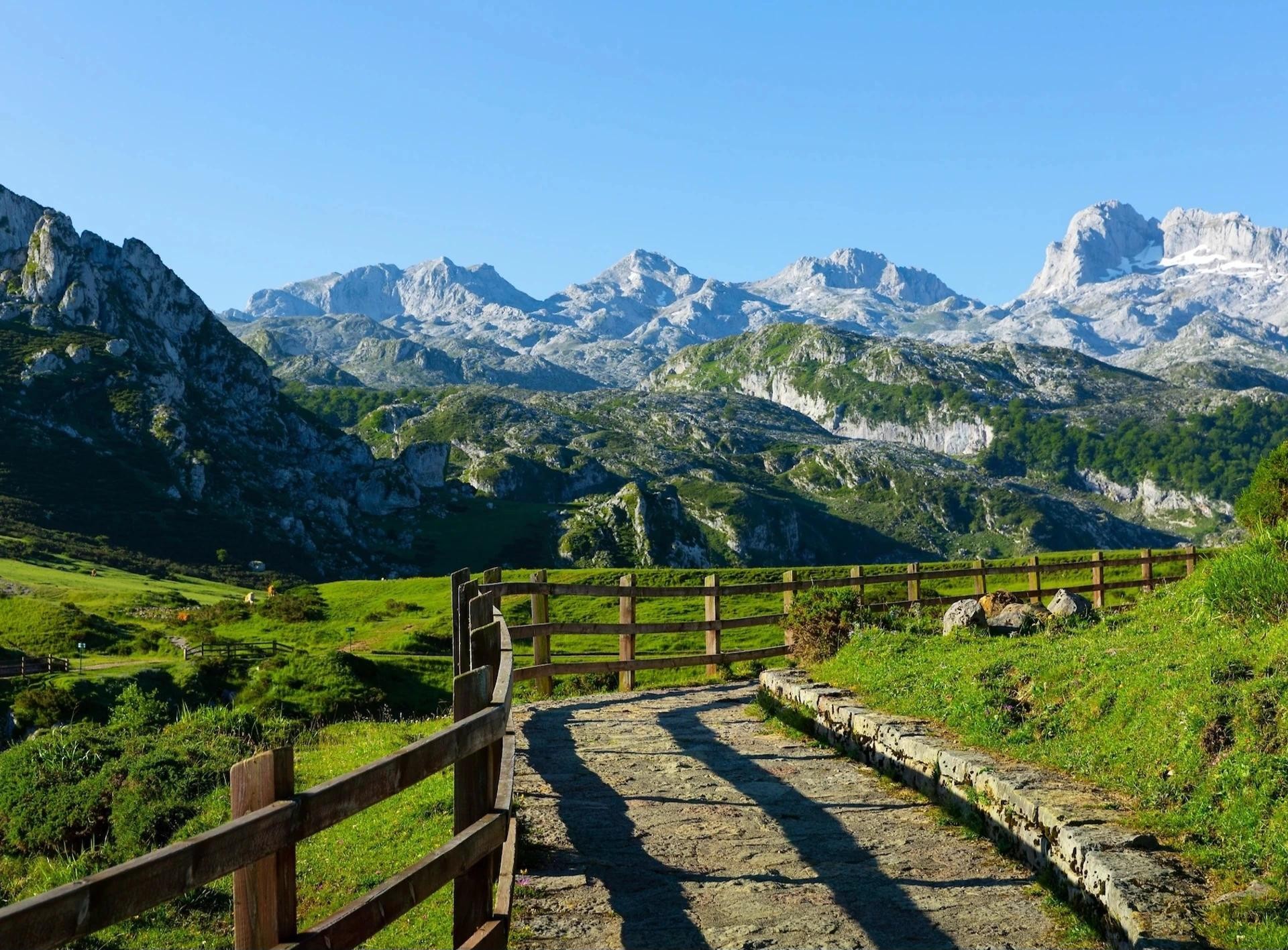 Những ngọn núi của Picos vươn cao dựng đứng từ biển, có nghĩa là tầm nhìn không chỉ bao gồm những hẻm núi sâu hun hút và những đỉnh núi hiểm trở mà còn cả những dải bãi biển. Trong khu vực còn có vô số cảnh đẹp khác: ngọn núi Naranjo de Bulnes hoang sơ đến lạ thường, nhiều ngôi làng cổ kính Sotres và Cain, hồ băng Covadonga lấp lánh và đền thờ cùng tên nằm trên vách đá...