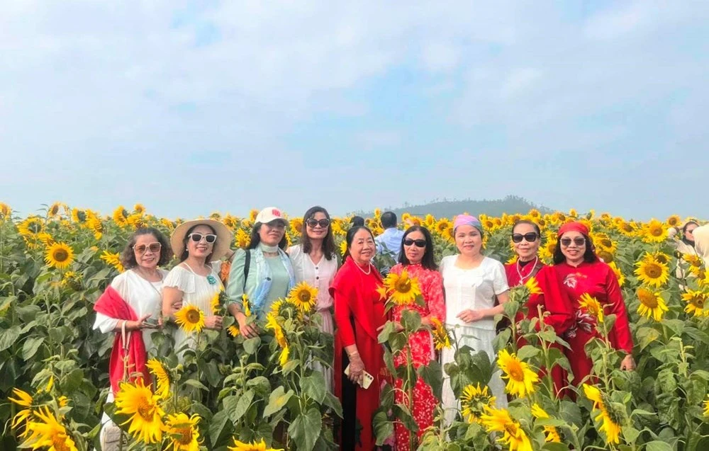 Đông đảo du khách đổ về đồi hoa hướng dương để tham quan, chụp ảnh ngày đầu năm mới.