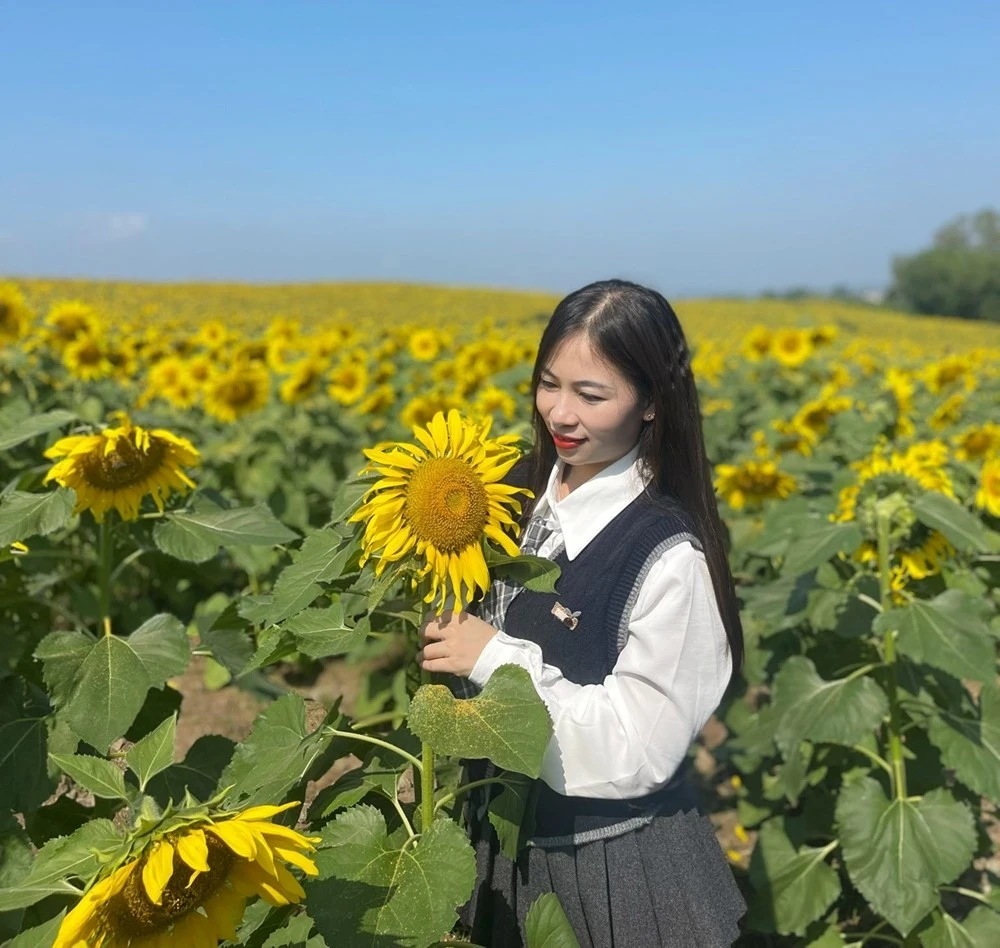 Những bạn trẻ ghi lại cho mình những hình ảnh đẹp nhất bên hoa mặt trời.