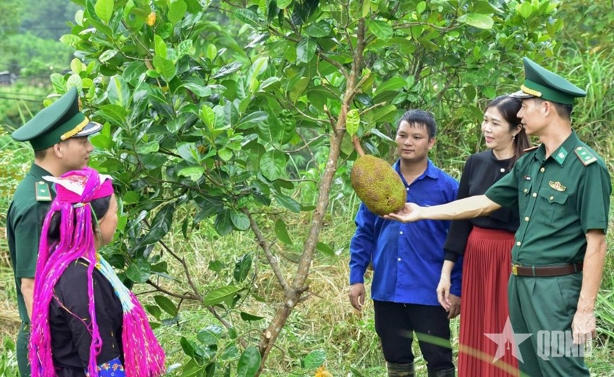 Đồn Biên phòng Bắc Sơn (Ban chỉ huy Bộ đội Biên phòng tỉnh Quảng Ninh) triển khai mô hình vườn cây ăn quả kiểu mẫu giúp dân phát triển kinh tế, tháng 10-2025.