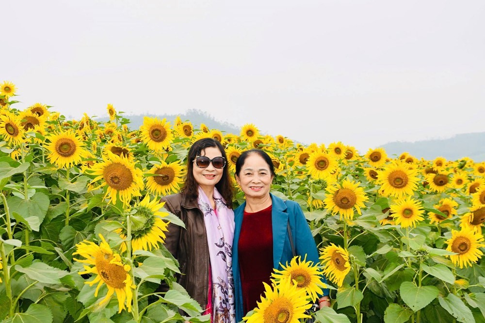 Du khách tranh thủ ghi lại những khoảnh khắc đáng nhớ bên đồi hoa hướng dương trong không khí rộn ràng đầu năm.