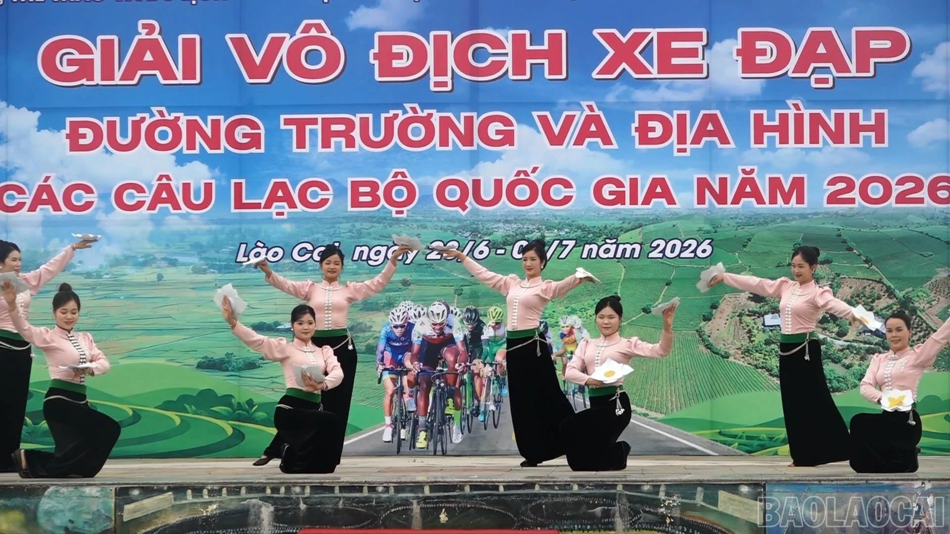baolaocai-br_muathai.jpg