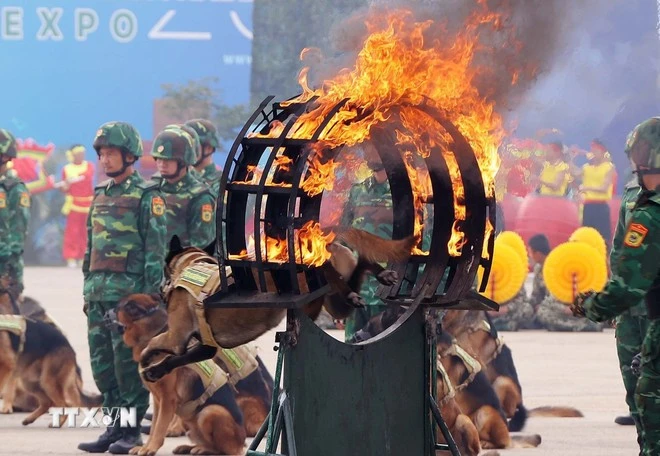 Màn trình diễn của Quân khuyển vượt vòng lửa tại khai mạc Triển lãm Quốc phòng quốc tế Việt Nam 2024.
