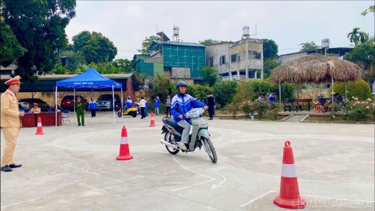 baolaocai-br-z7416594379483-c67d22b65a8668a08e326abe6bcf198d.jpg
