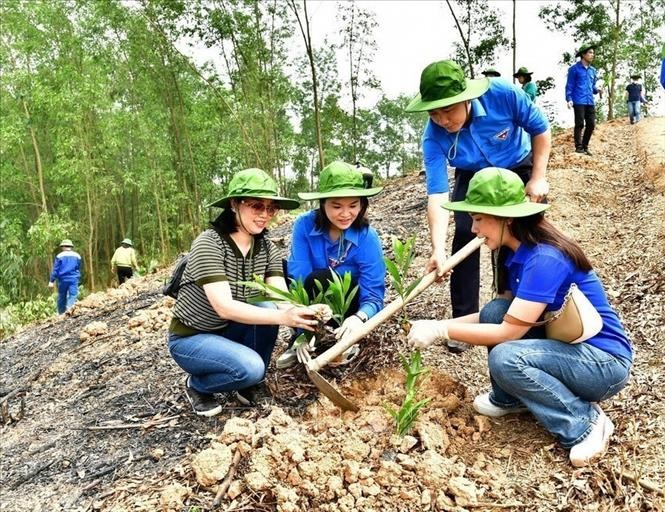 Đoàn thanh niên TTXVN trồng 1.660 cây keo mô thế hệ mới tại phường Nông Tiến, tỉnh Tuyên Quang, hưởng ứng Đề án "Trồng một tỷ cây xanh" giai đoạn 2021-2025 của Chính phủ, ngày 23/3/2024.