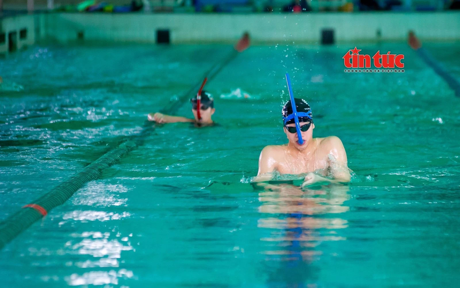 Để đạt được các thành tích cao trong thi đấu, các VĐV phải mất hàng nghìn giờ tập luyện dưới nước.