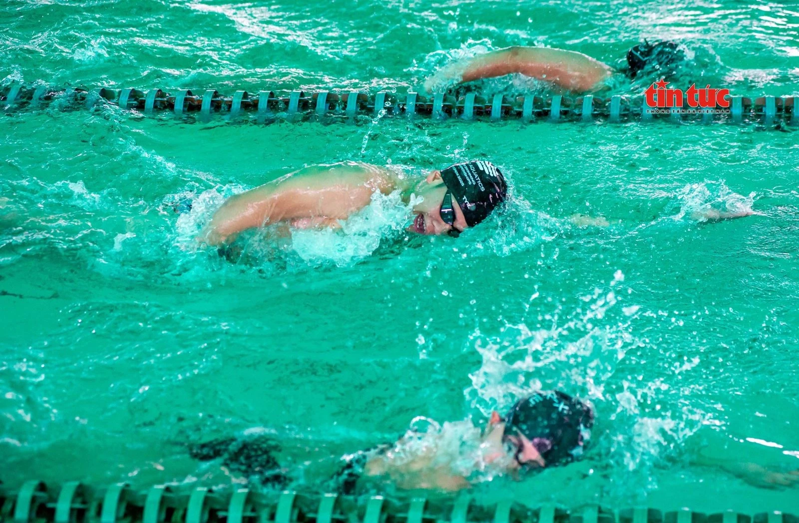 Các VĐV của đội tuyển bơi quốc gia luôn nổ lực hết khả năng để tập luyện theo đúng giáo án của ban huấn luyện đề ra.