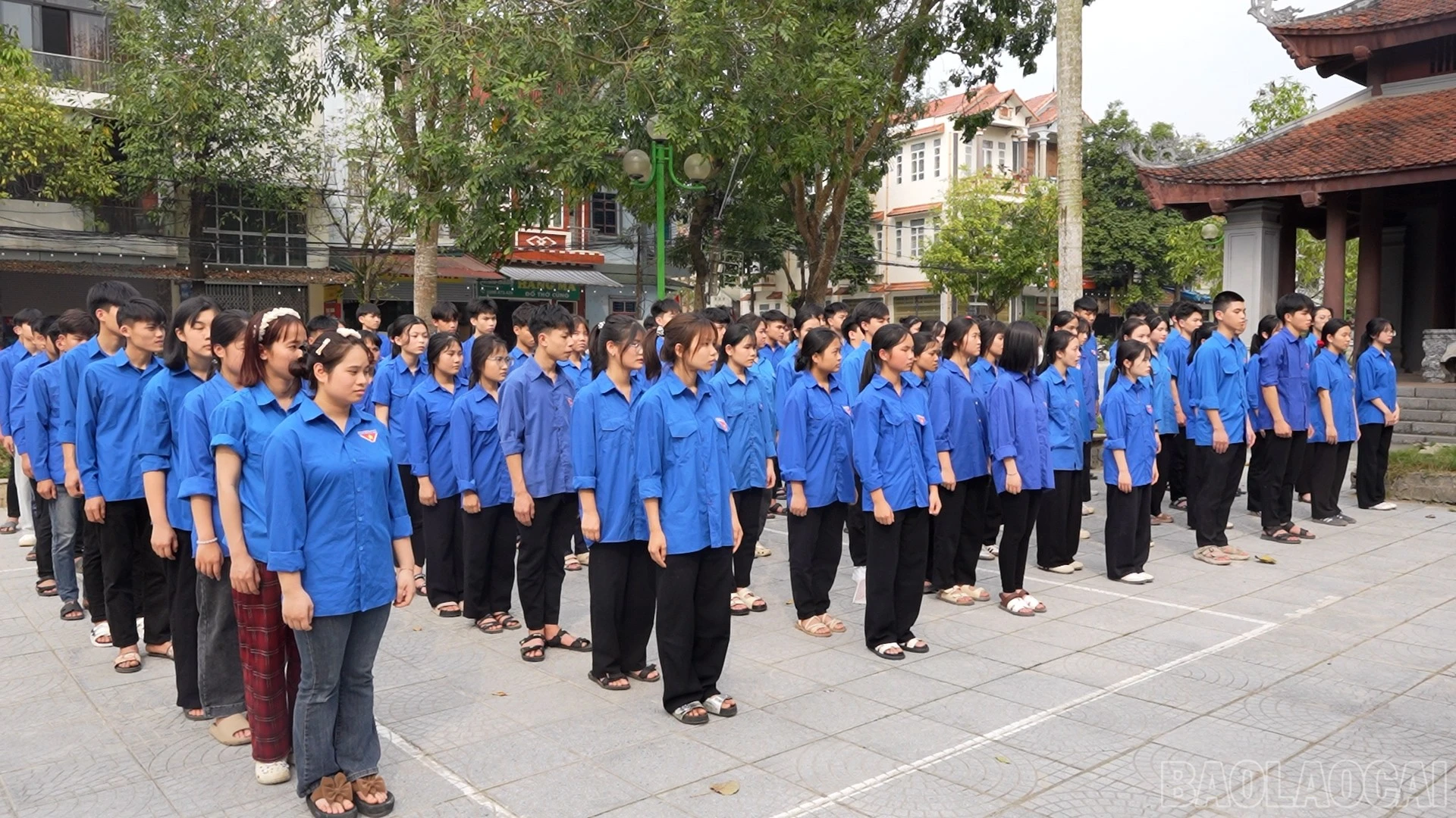 baolaocai-br_quangcanhdoan.jpg