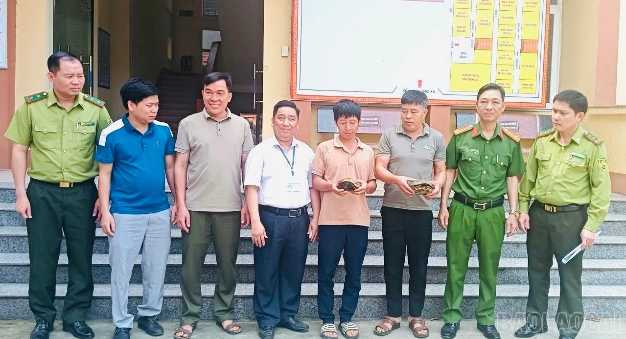 baolaocai-br_giao-nop.jpg