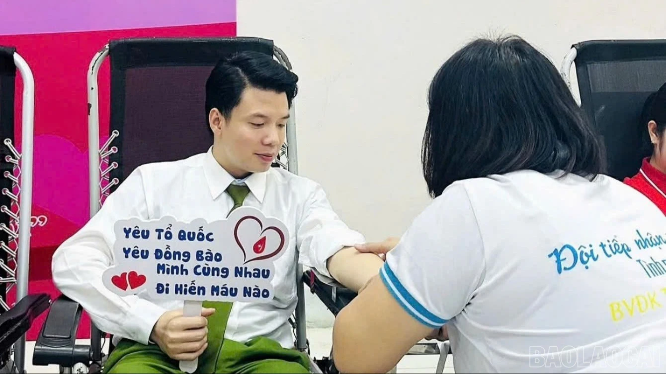 baolaocai-br_hienmau-5236.jpg