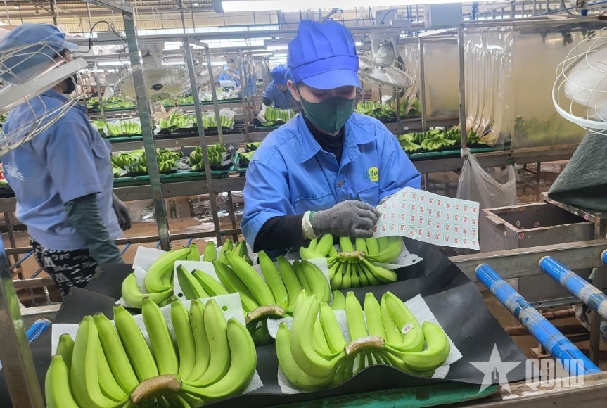 Nông sản là mặt hàng xuất khẩu chủ lực của Việt Nam.