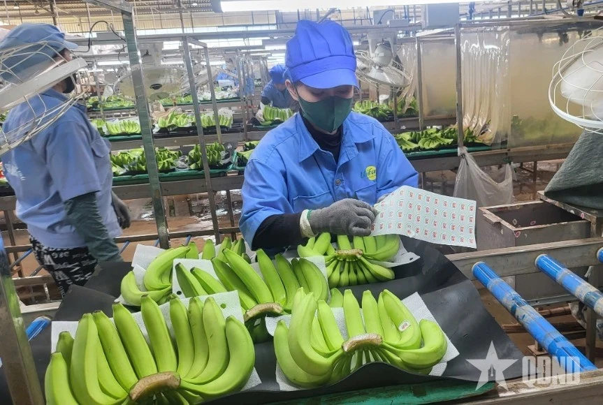 Nông sản là mặt hàng xuất khẩu chủ lực của Việt Nam.