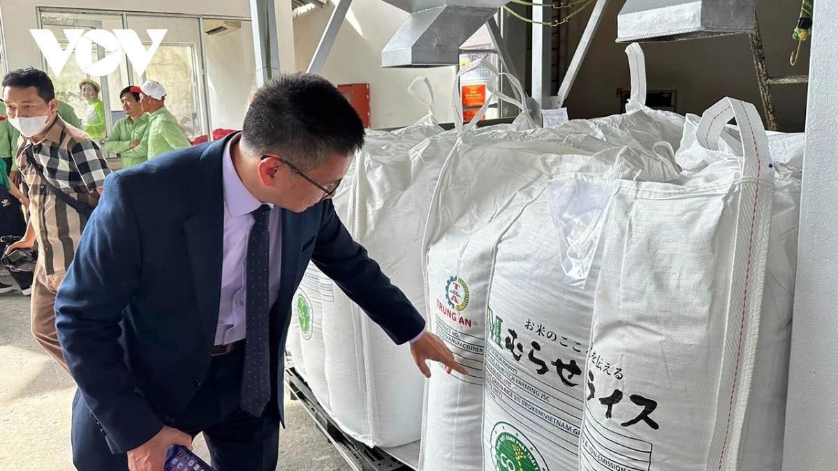 Gạo Việt hướng đến những thị trường cao cấp.