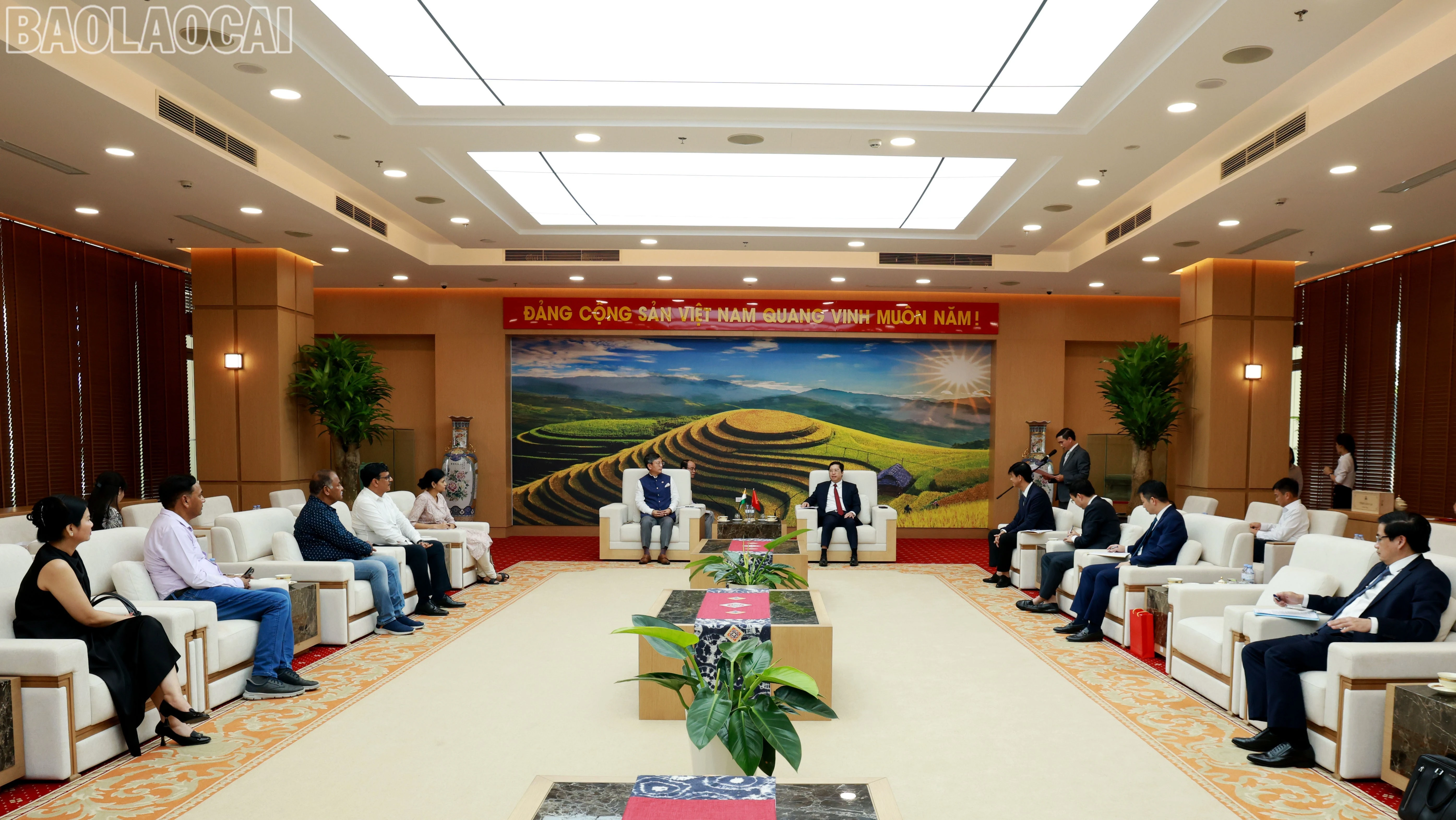 baolaocai-tl_tl-060a7615.jpg