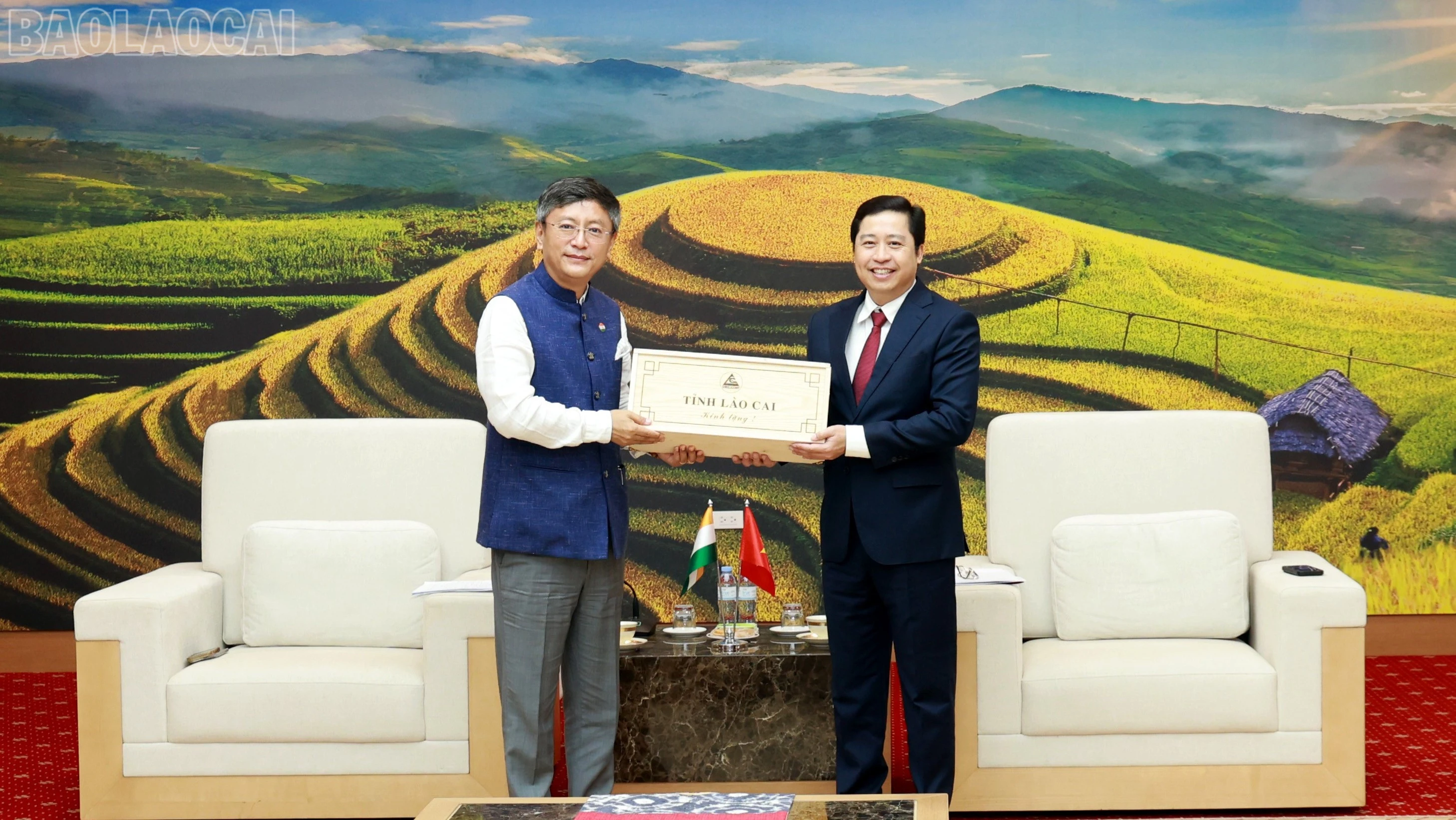 baolaocai-tl_tl-060a7735.jpg