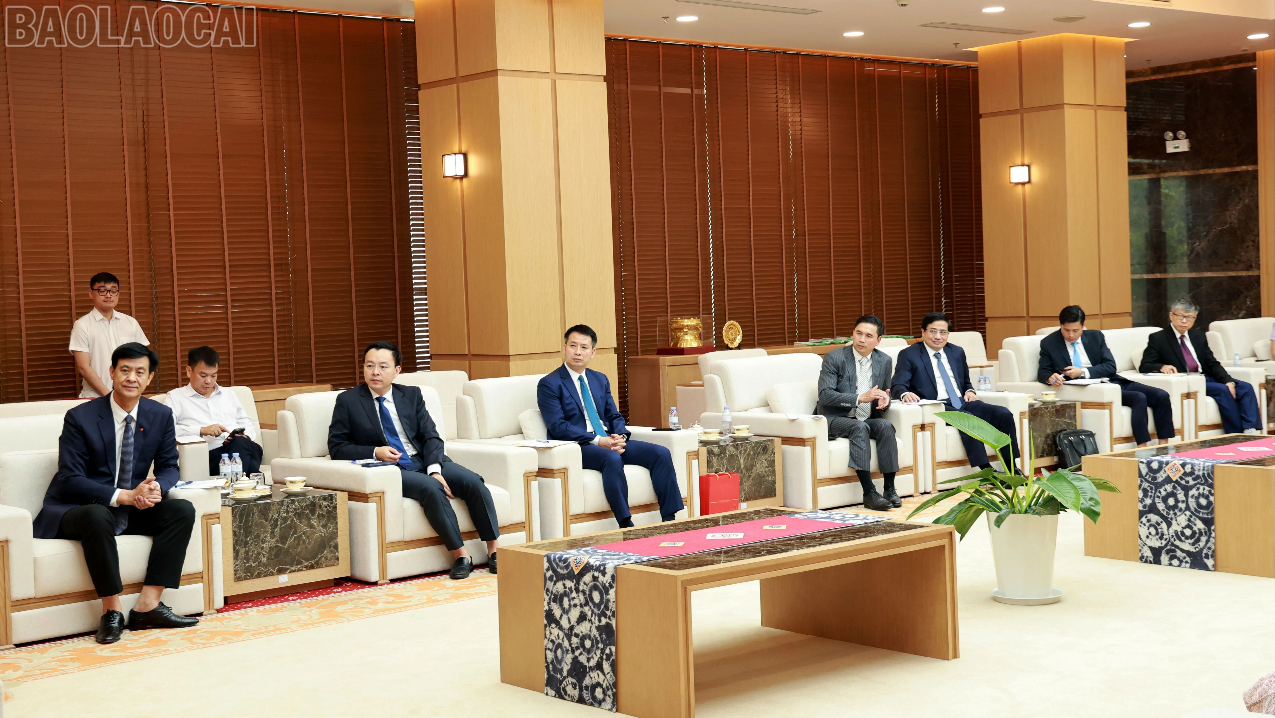 baolaocai-tl_tl-060a7674.jpg