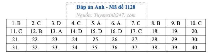 dapananh1128.jpg