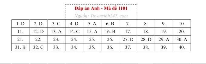 daanh1101.jpg