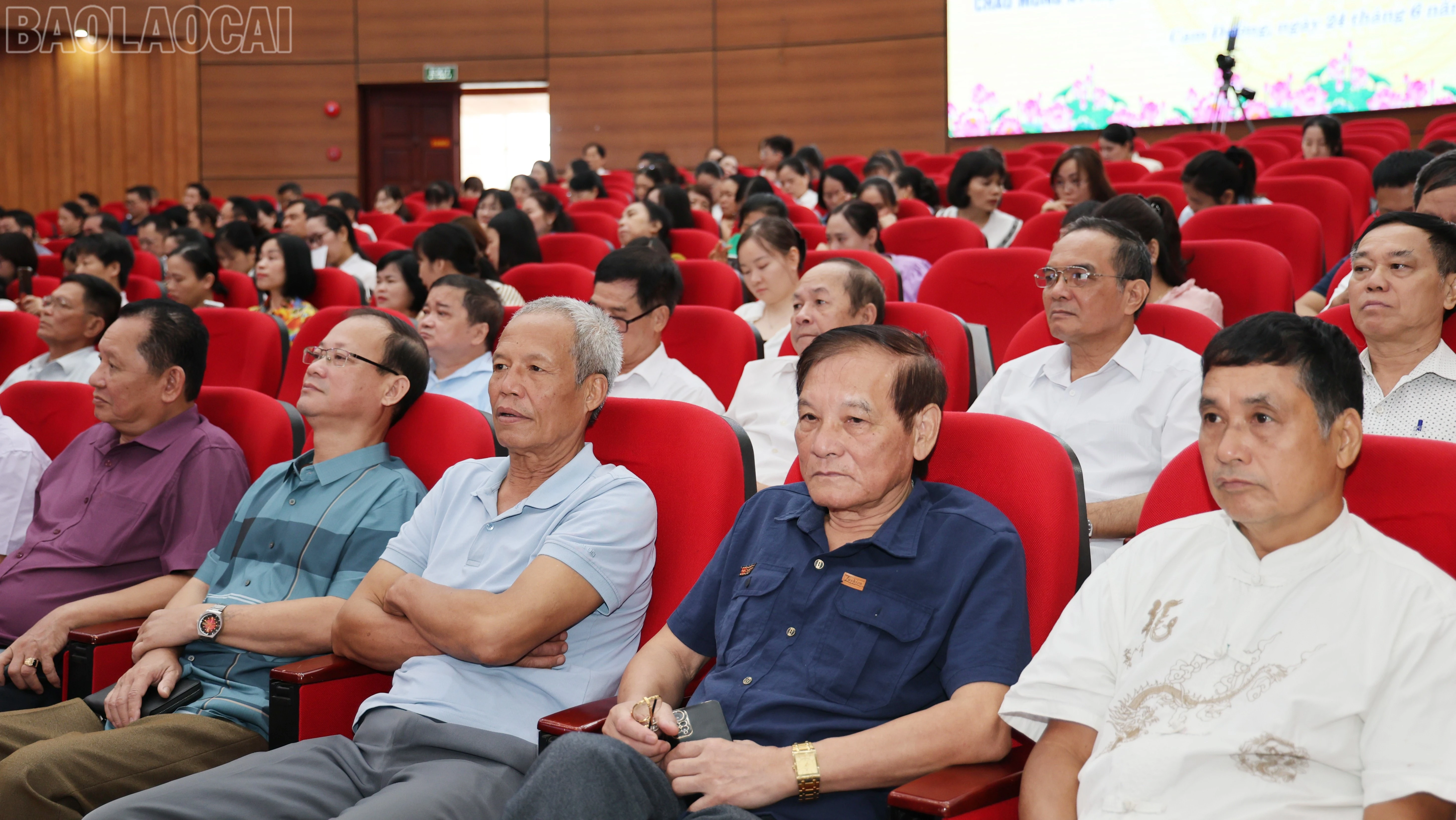baolaocai-tl_tl-img-8226.jpg