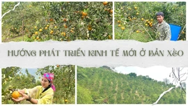 Hướng phát triển kinh tế mới ở Bản Xèo