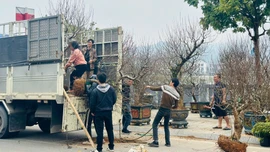 Những dịch vụ đắt khách ngày cận Tết