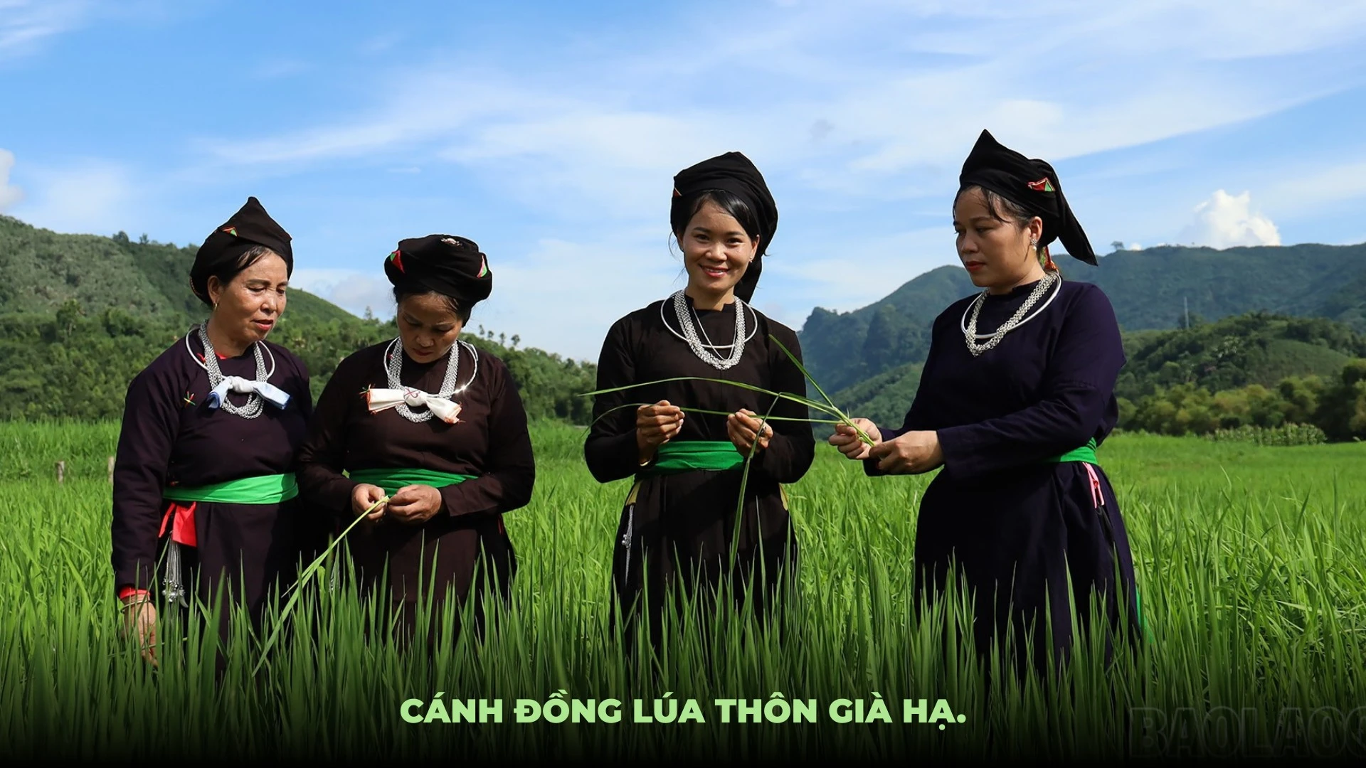 Ảnh: Mạnh Dũng.