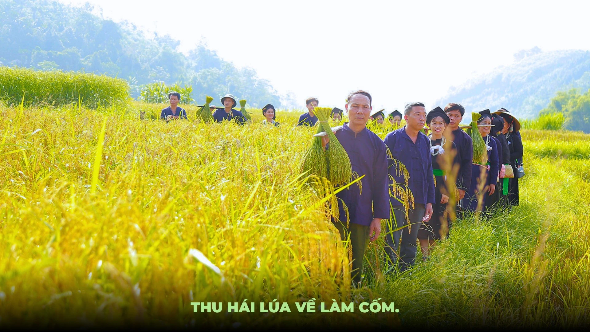 Ảnh: Mạnh Dũng.