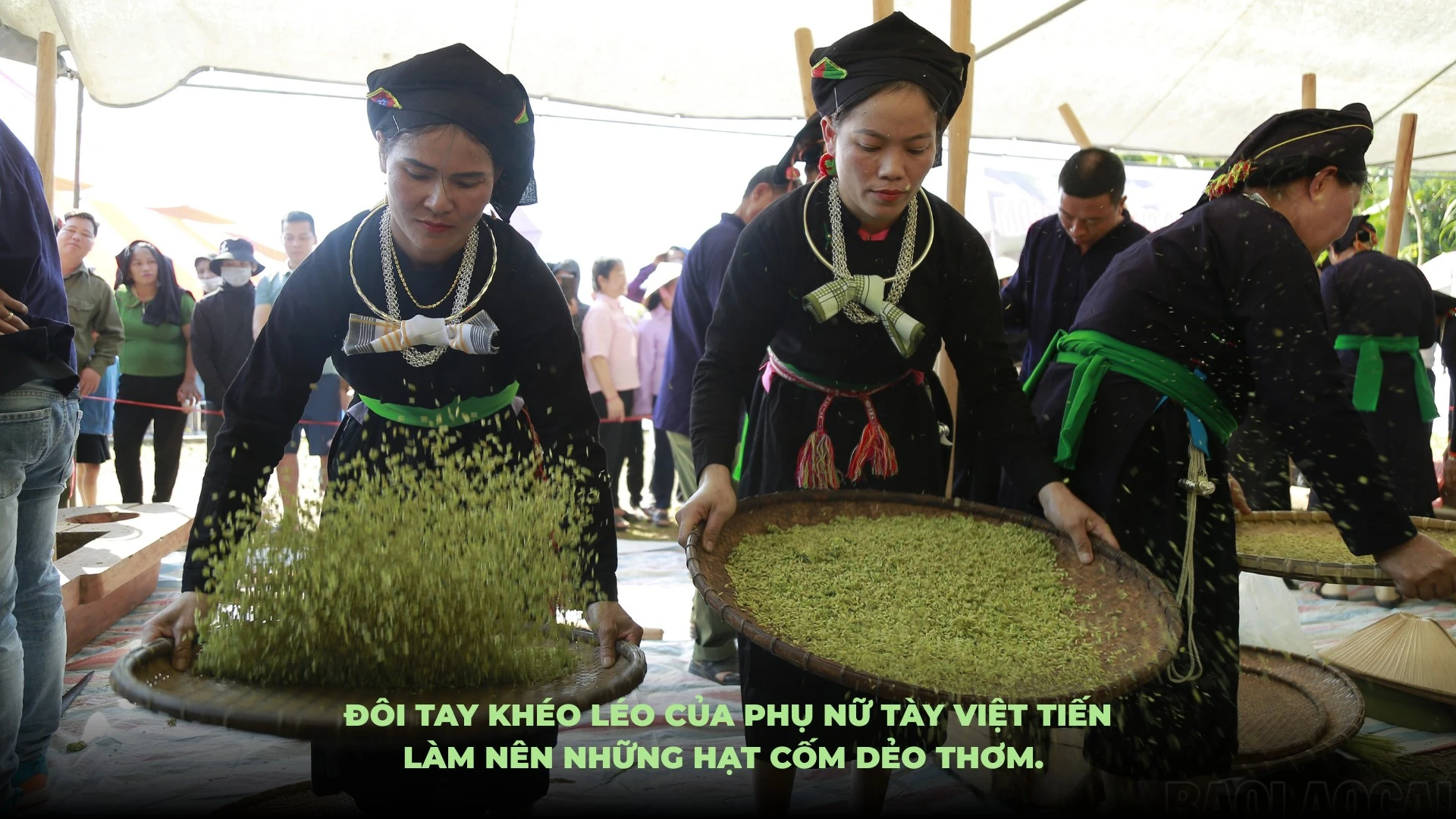 Ảnh: Mạnh Dũng.