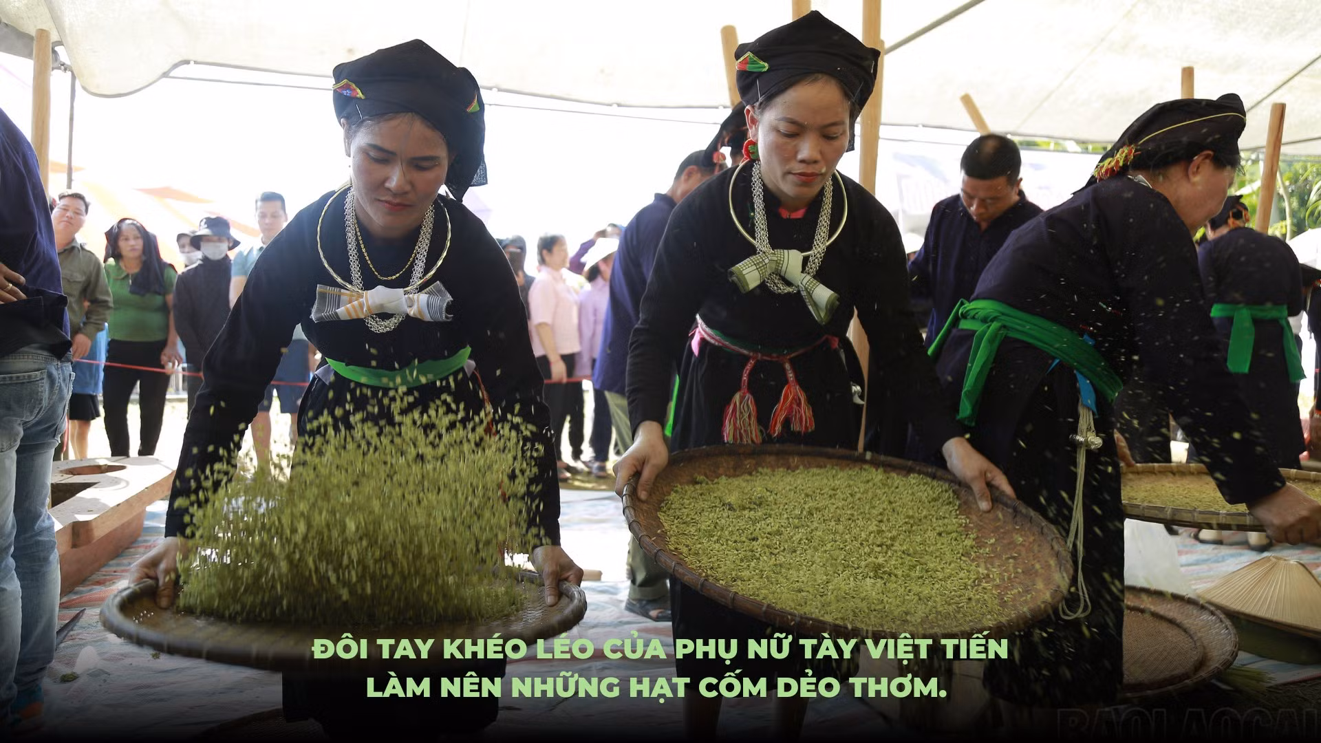 Ảnh: Mạnh Dũng.