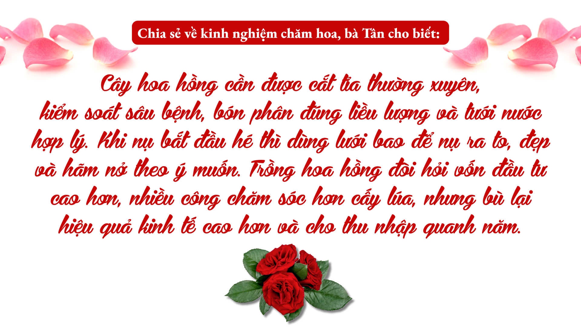 nang-dong-chuyen-doi-cay-trong-3.png
