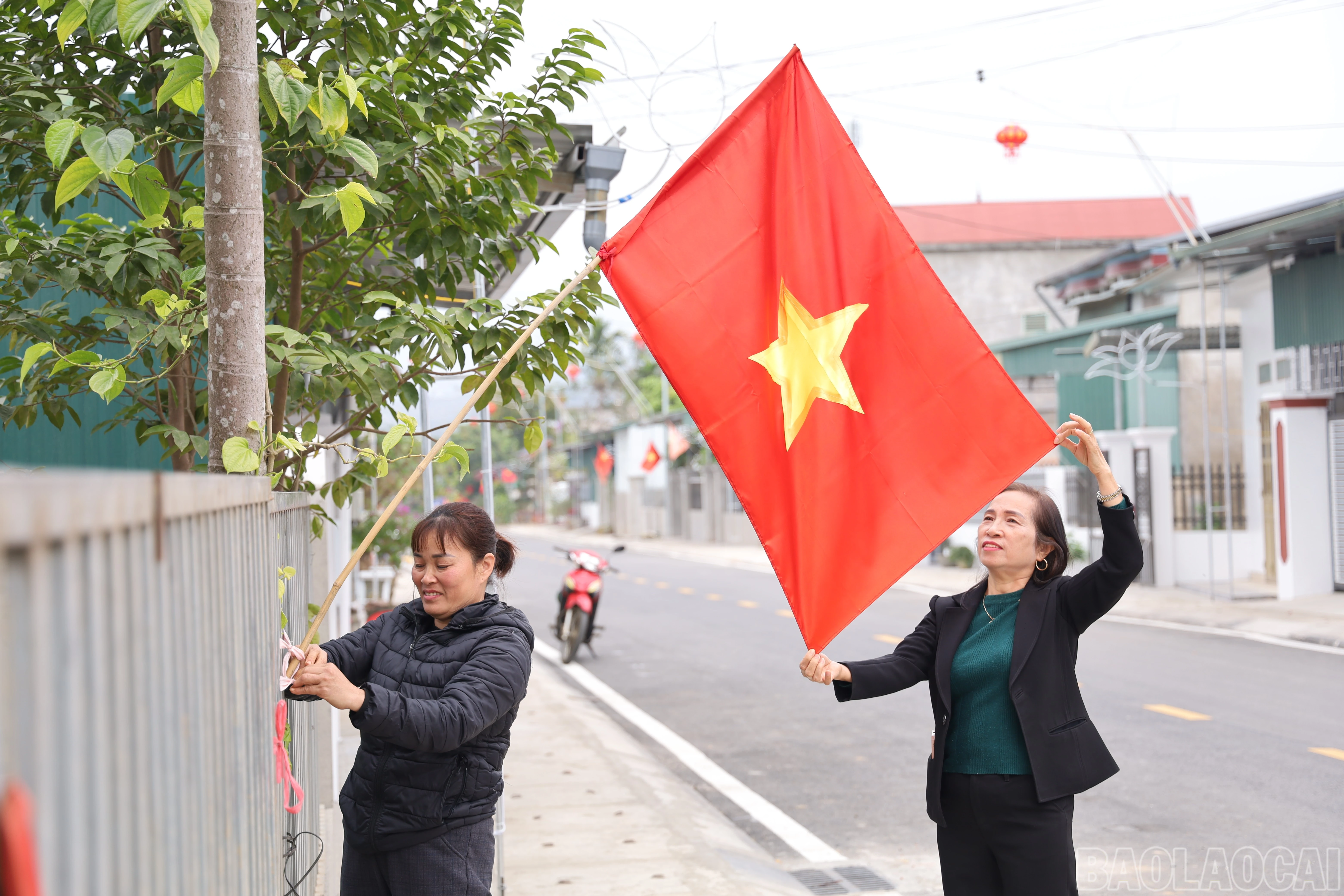 baolaocai-br_img-1876.jpg