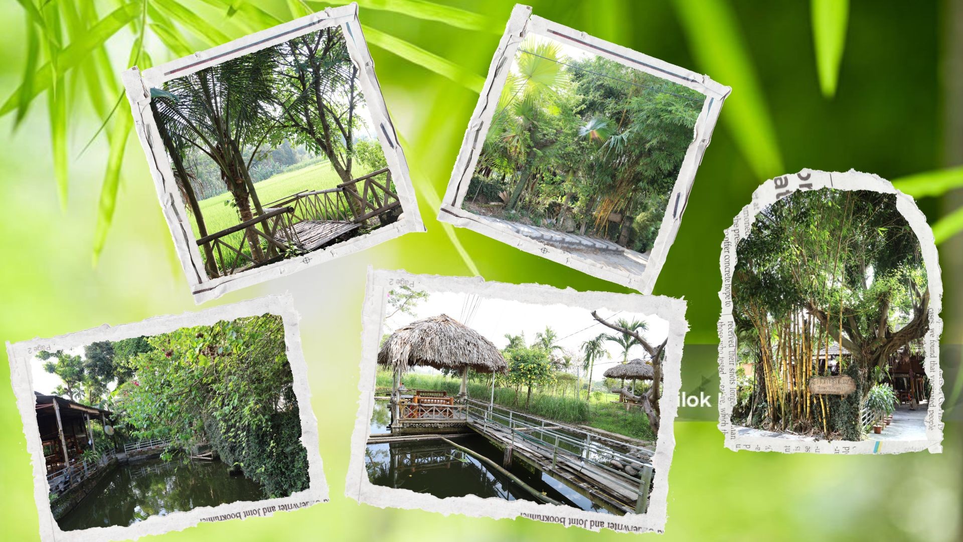 Những không gian xanh xung quanh các homestay ở Sà Rèn. 2.jpg