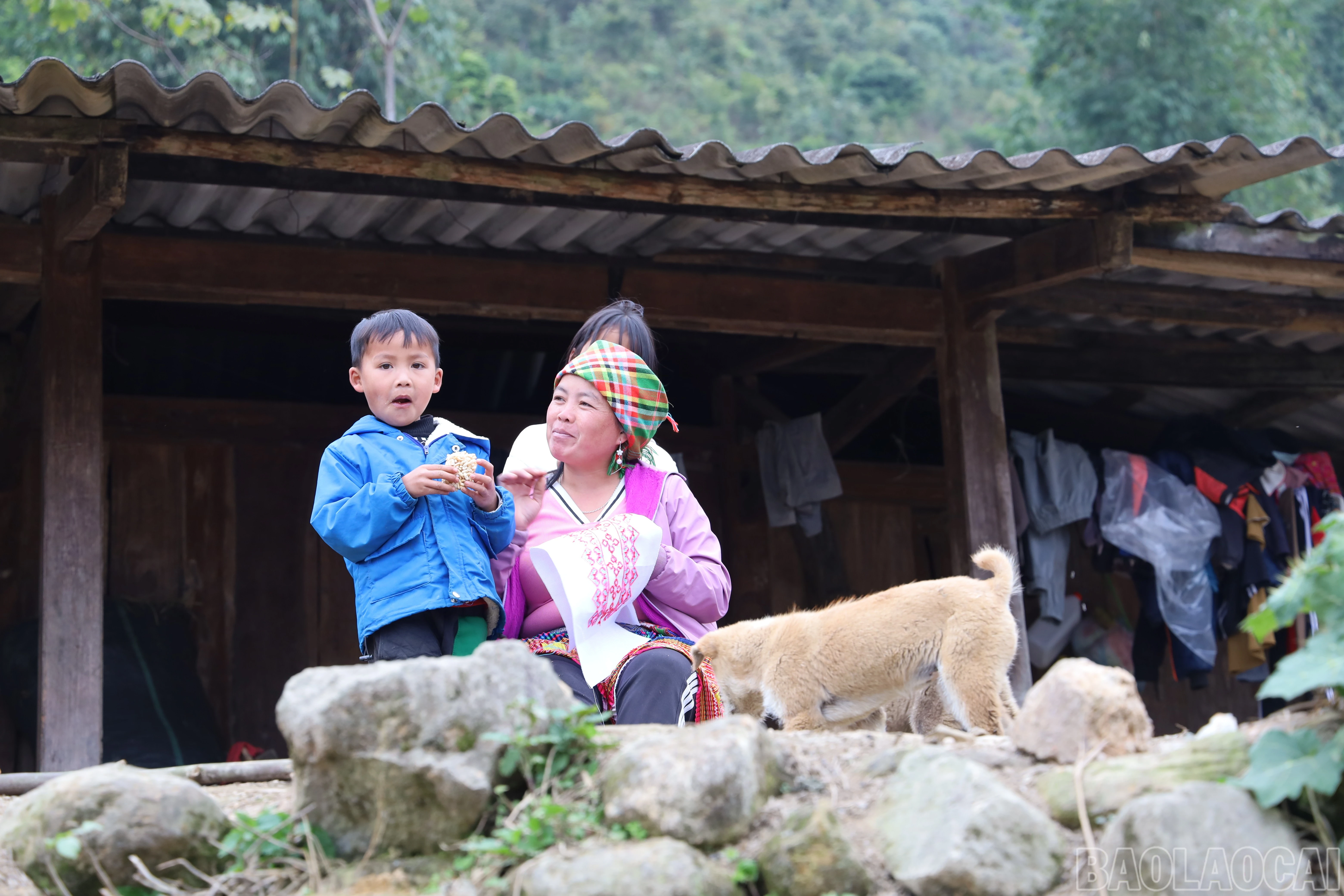 baolaocai-br_img-9676.jpg
