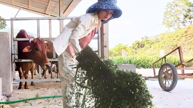 Với sự hỗ trợ của tổ chức Hội LHPN, nhiều phụ nữ xã Tân Hợp vươn lên phát triển kinh tế . kinh-te-3376-5736.jpg