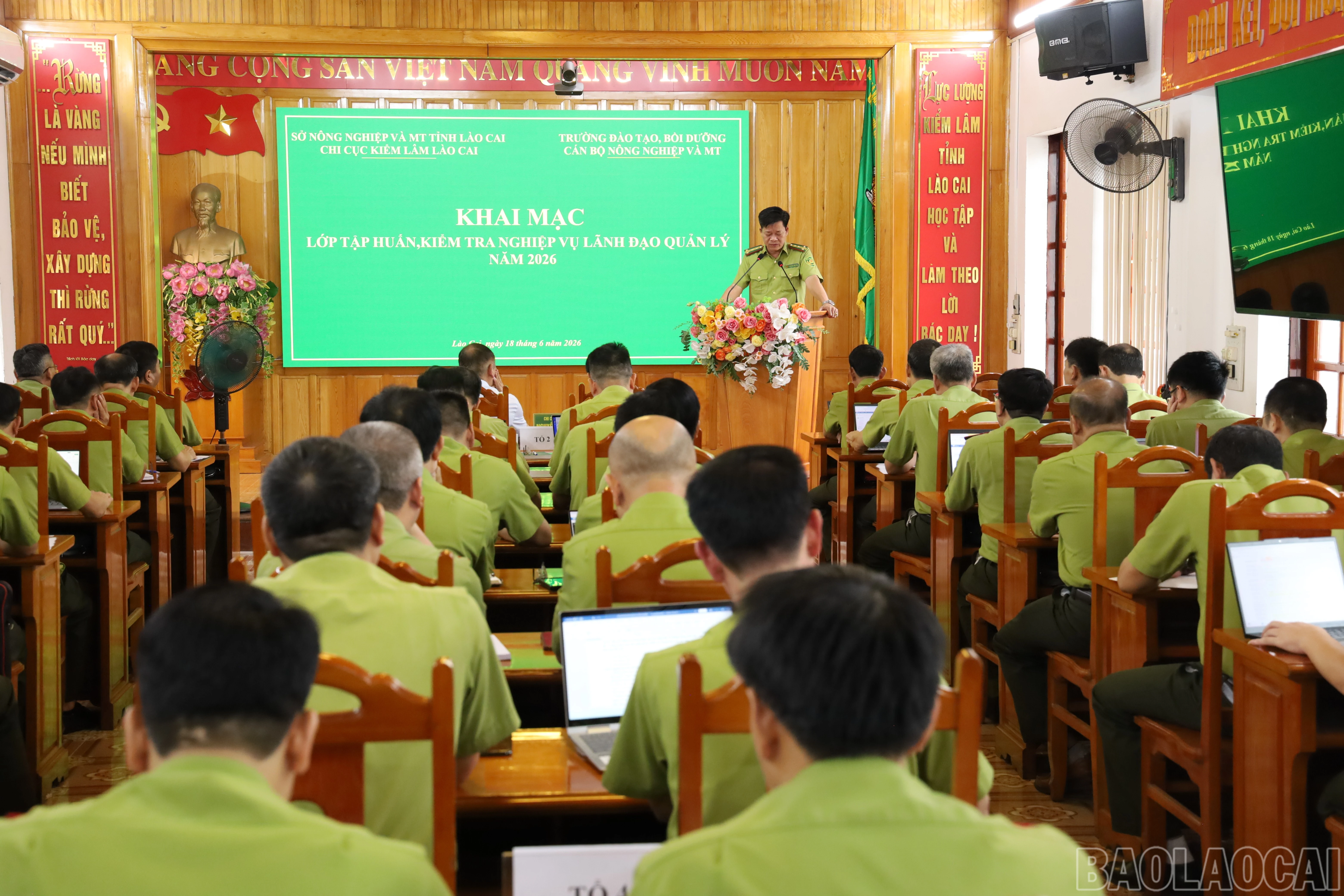 baolaocai-br_img-2862.jpg