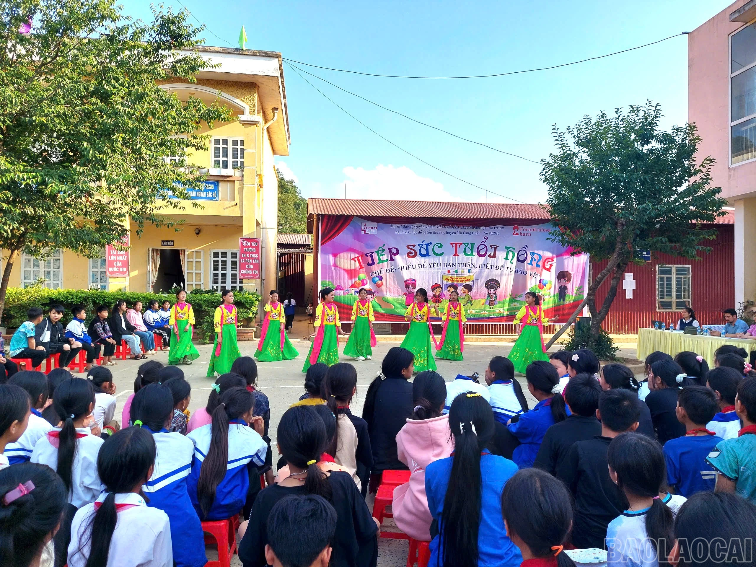 baolaocai-br_z7461530479073-476b6ce287a2becf348594f2321e7cb3.jpg
