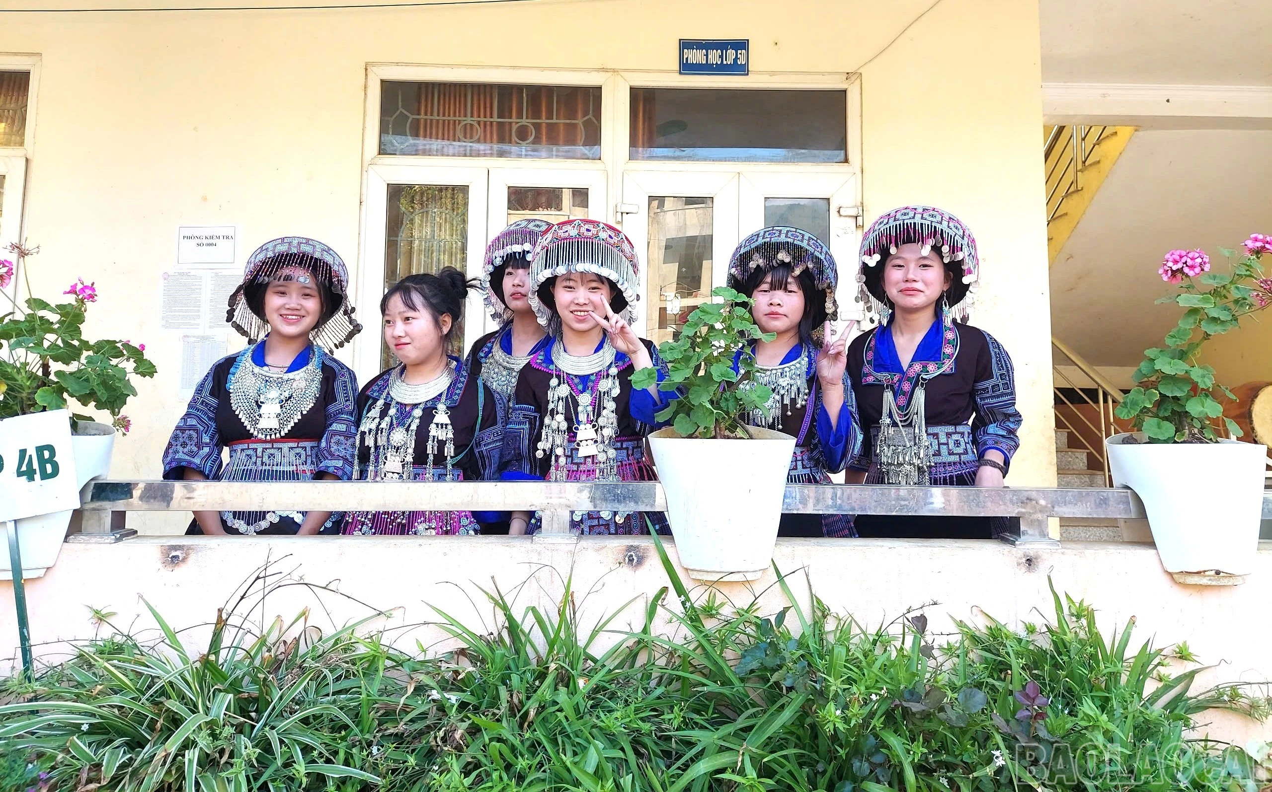 baolaocai-br_z7461530891248-56edbba1cfcc39ad3720ec526d06f339.jpg