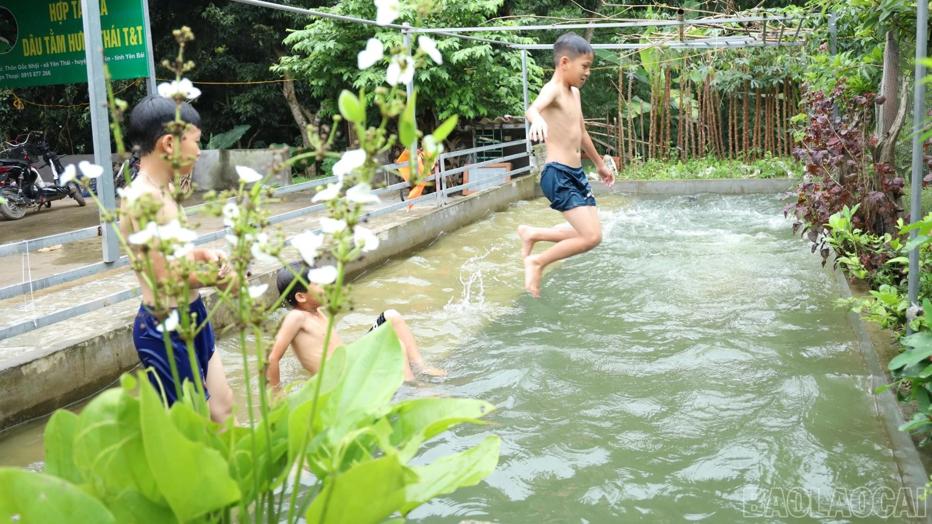 baolaocai-br_anh-9-lay.jpg