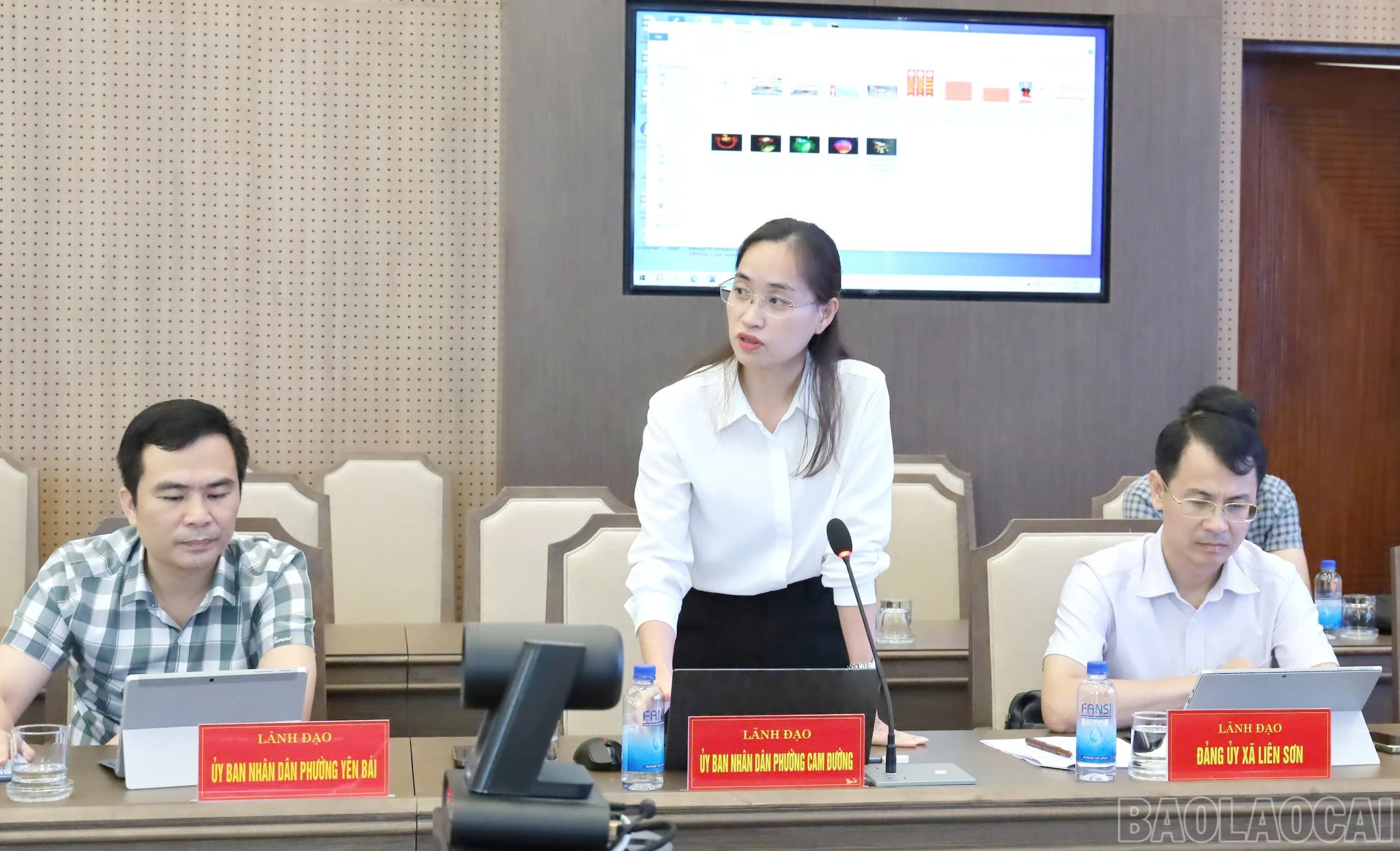 baolaocai-br_phuong-cam-duong.jpg