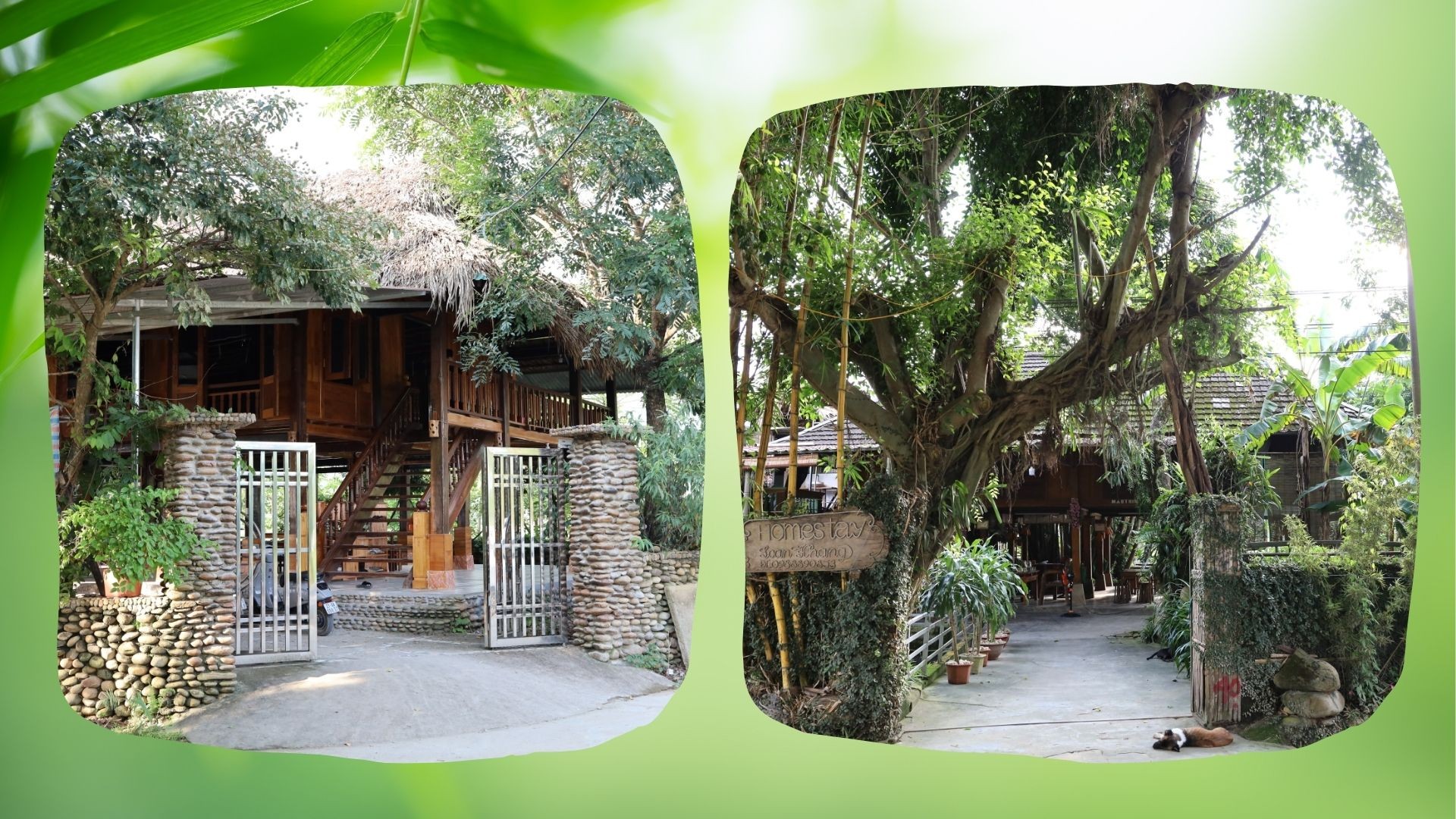 Tại những homestay mộc mạc, xanh, sạch, đẹp của Sà Rèn, du khách có nhiều trải nghiệm đời sống người dân bản địa. 3.jpg