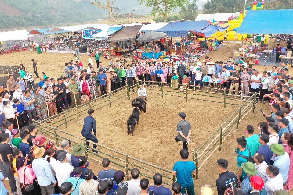 baolaocai-br_z7584451185206-972c5e7e9cdf99c5e2054bddd8dbfffe.jpg